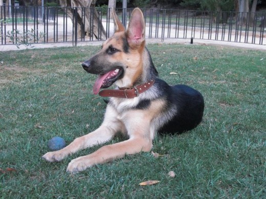Con 4 meses Con 4 meses